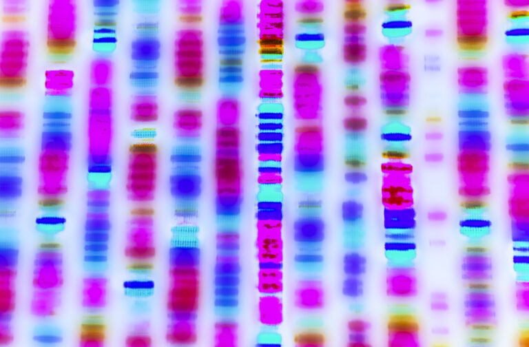 Graphic representation of the DNA sequence