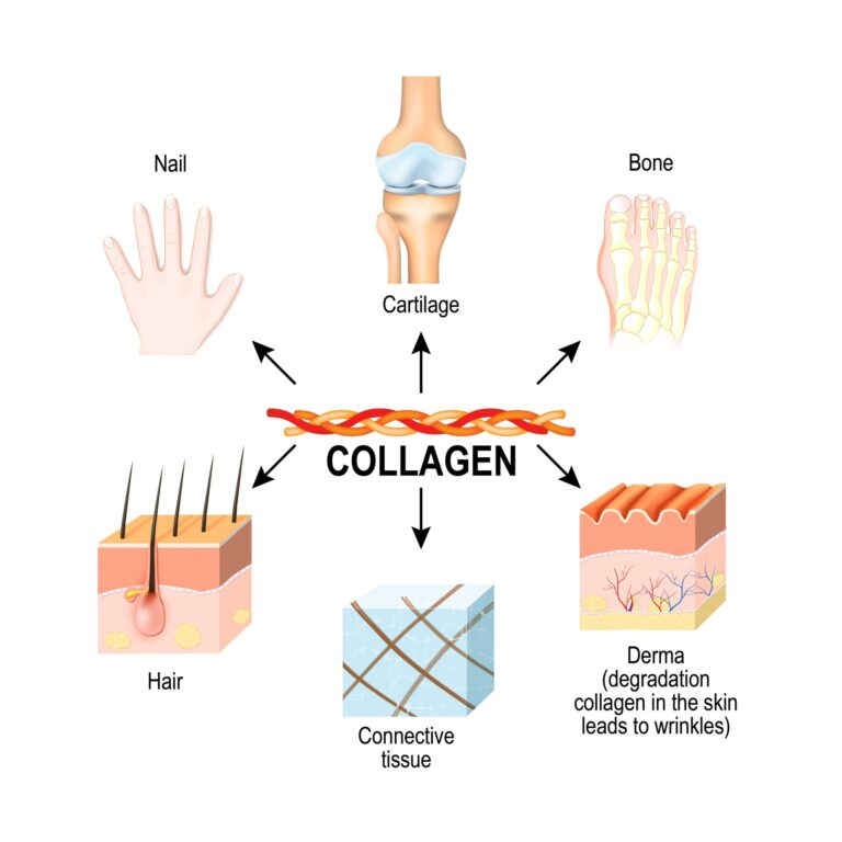 Collagen, Gut Health and Skin Health – Should You Take It?